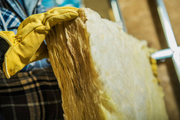 Best Insulation Maintenance and Repair in Ionia, MI